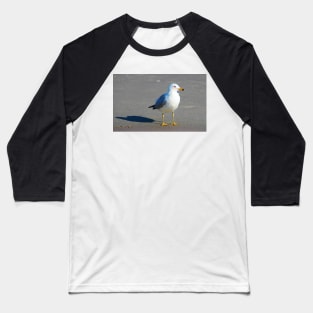 Seagull And His Shadow Baseball T-Shirt